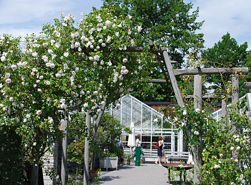 Tour to Djurgarden with the Vasa museum and Rosendals garden Djurgarden with attractions as Vasa museum and Rosendal